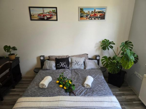 Serenity Family apartment in Old Buda near tram line